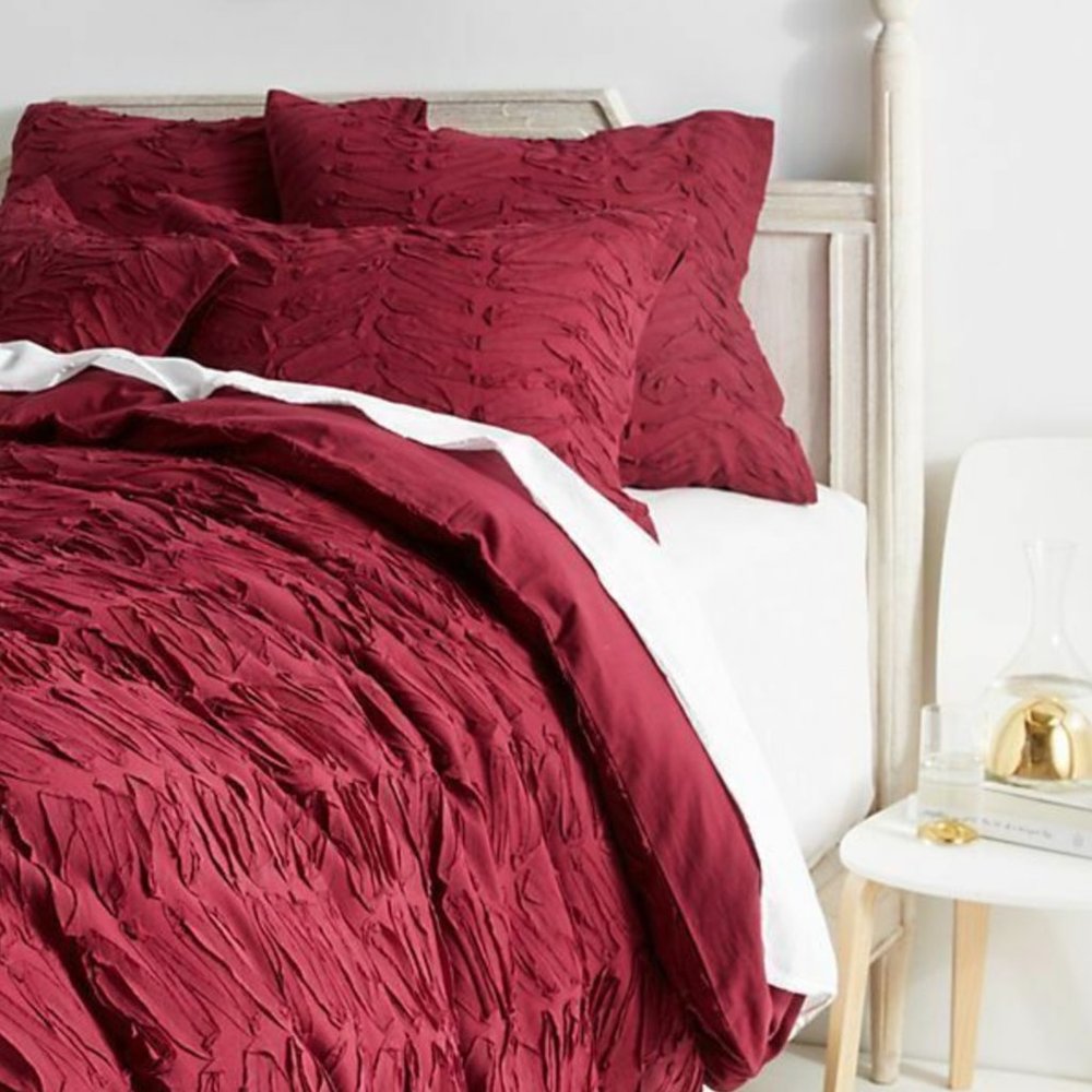 Anthropologie Ruffled King Duvet Cover + 2 Shams
